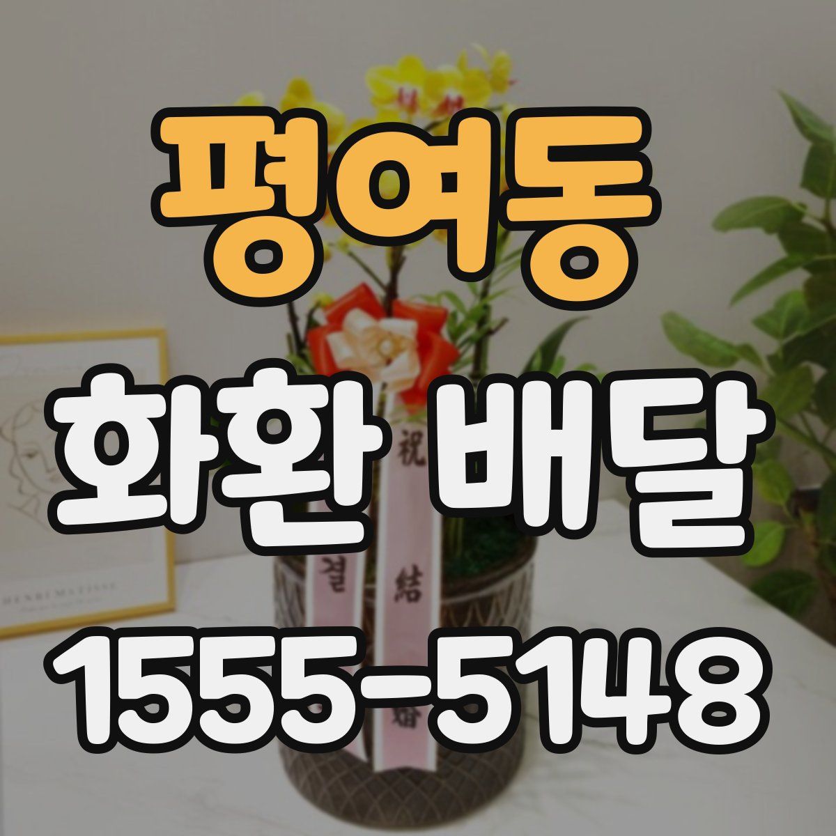 평여동 화환 배달