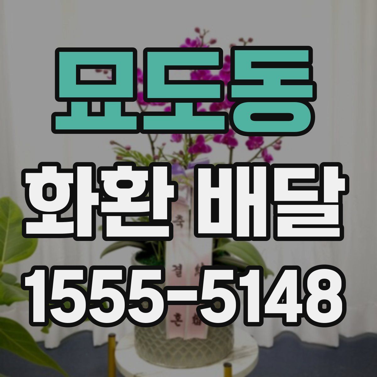 묘도동 화환 배달