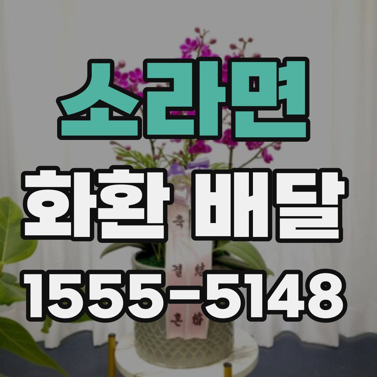 소라면 화환 배달