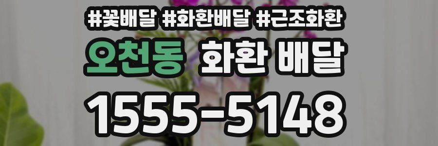 오천동 화환 배달