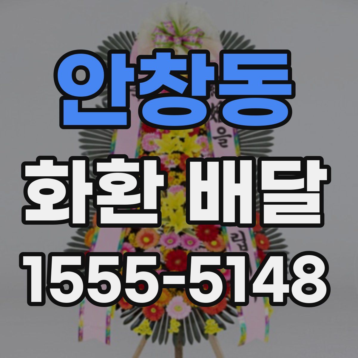 안창동 화환 배달