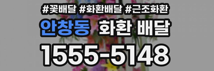 안창동 화환 배달