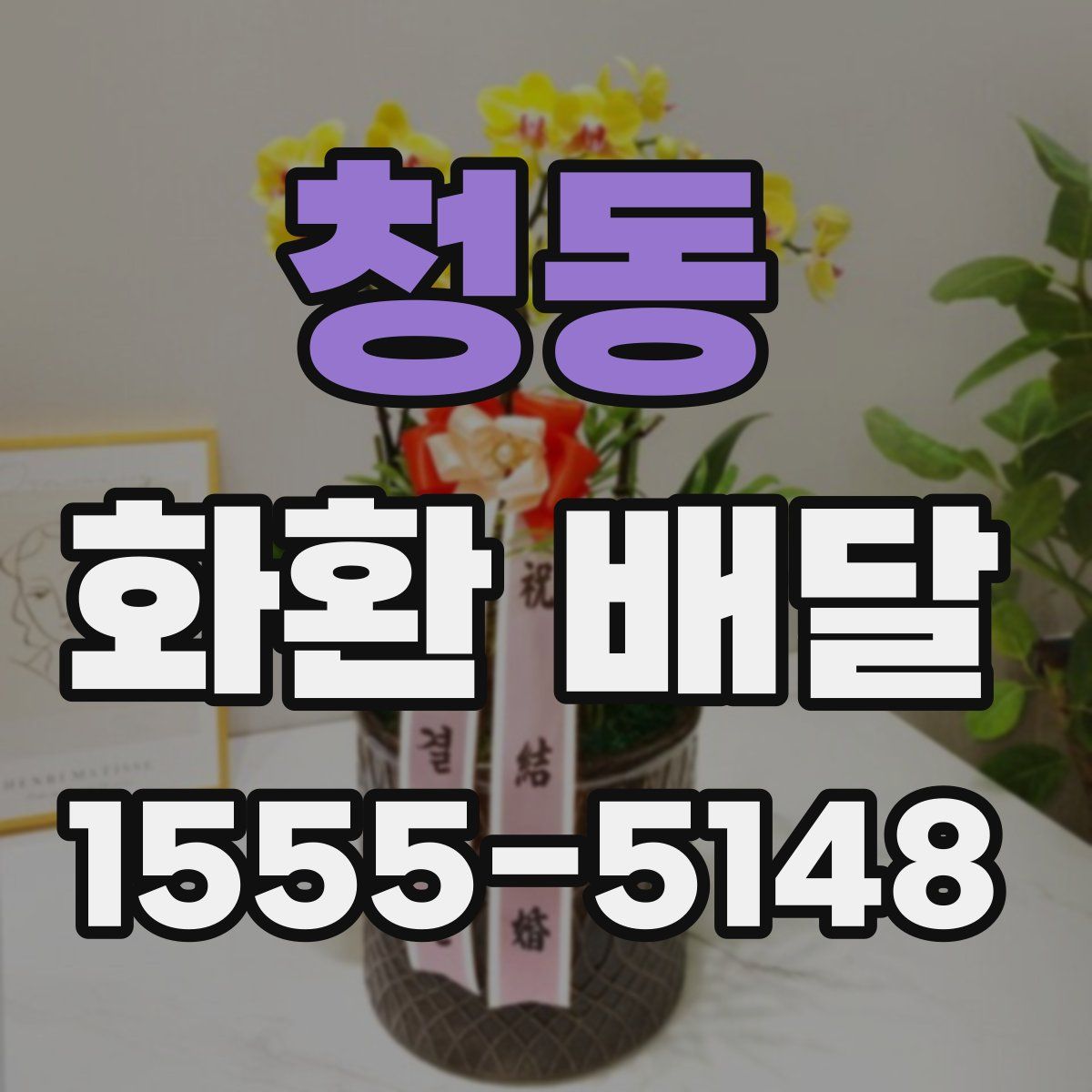 청동 화환 배달
