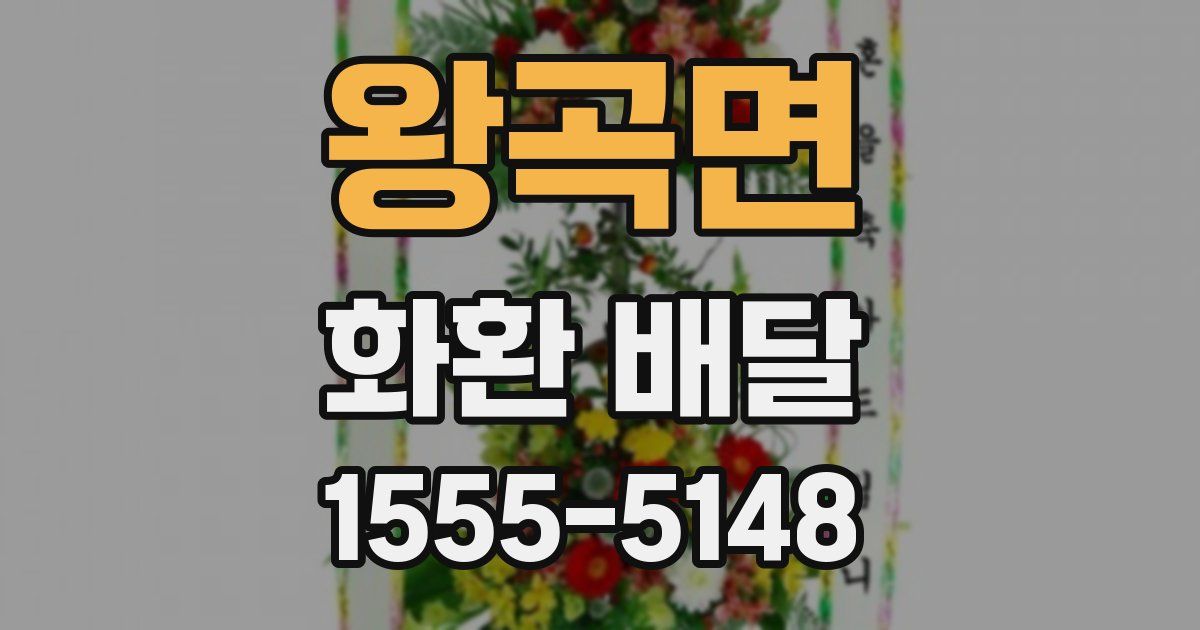 왕곡면 화환 배달