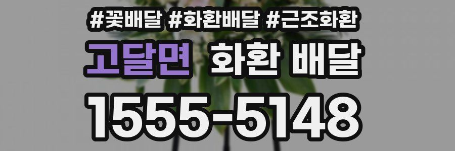 고달면 화환 배달