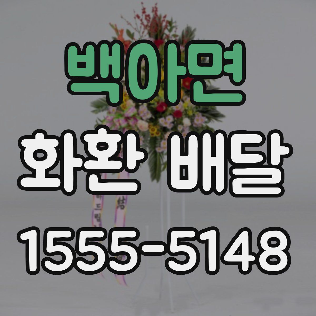 백아면 화환 배달
