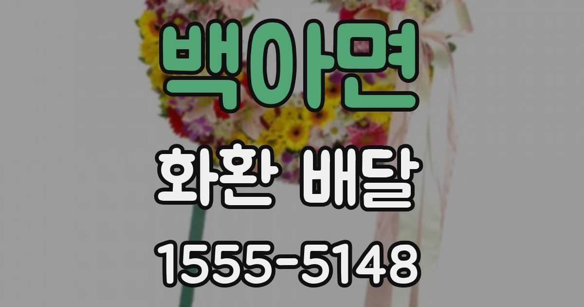 백아면 화환 배달