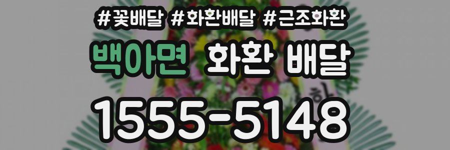 백아면 화환 배달
