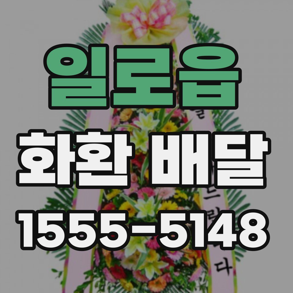 일로읍 화환 배달