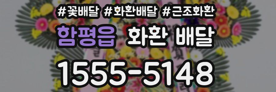 함평읍 화환 배달
