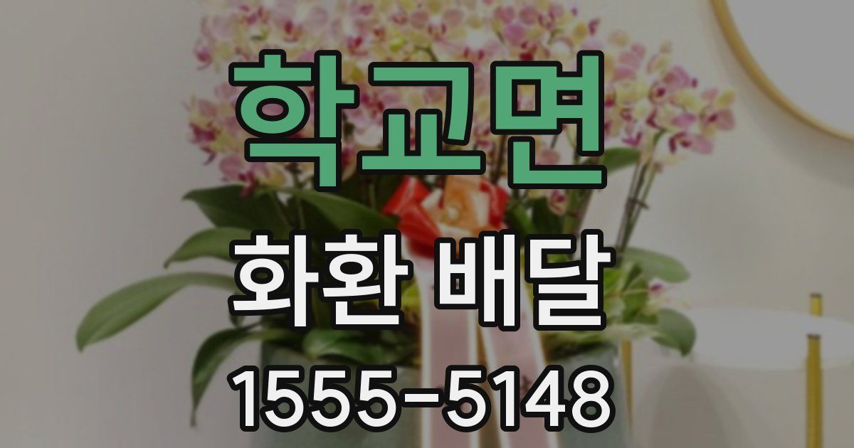 학교면 화환 배달