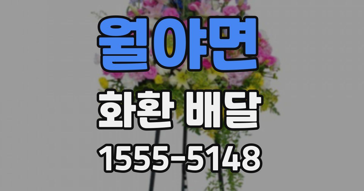월야면 화환 배달
