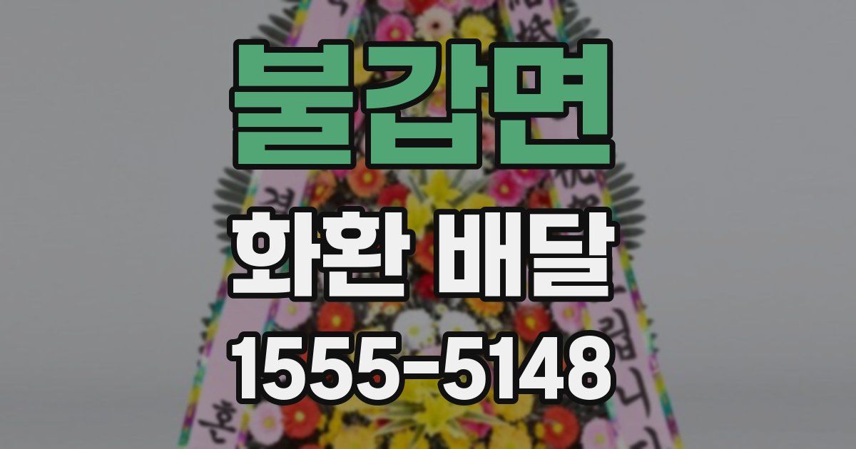 불갑면 화환 배달