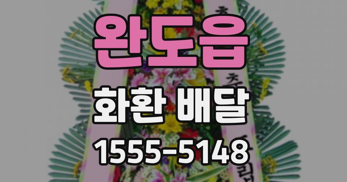 완도읍 화환 배달