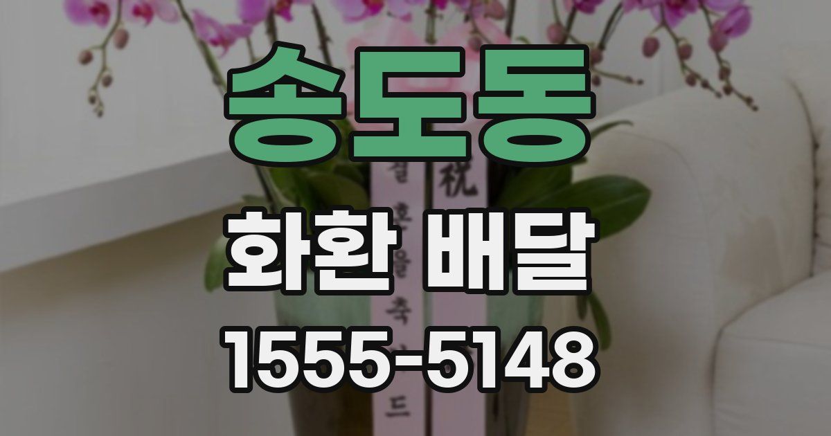 송도동 화환 배달