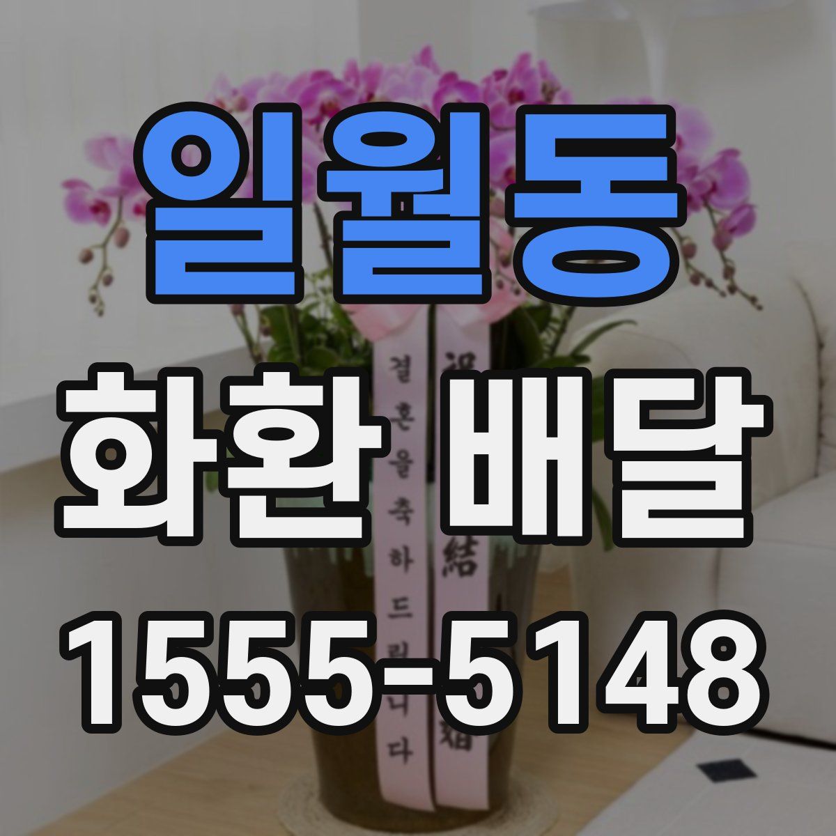 일월동 화환 배달