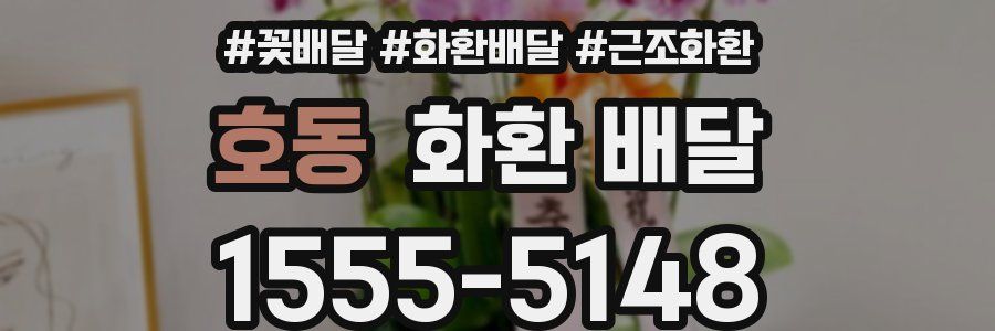 호동 화환 배달