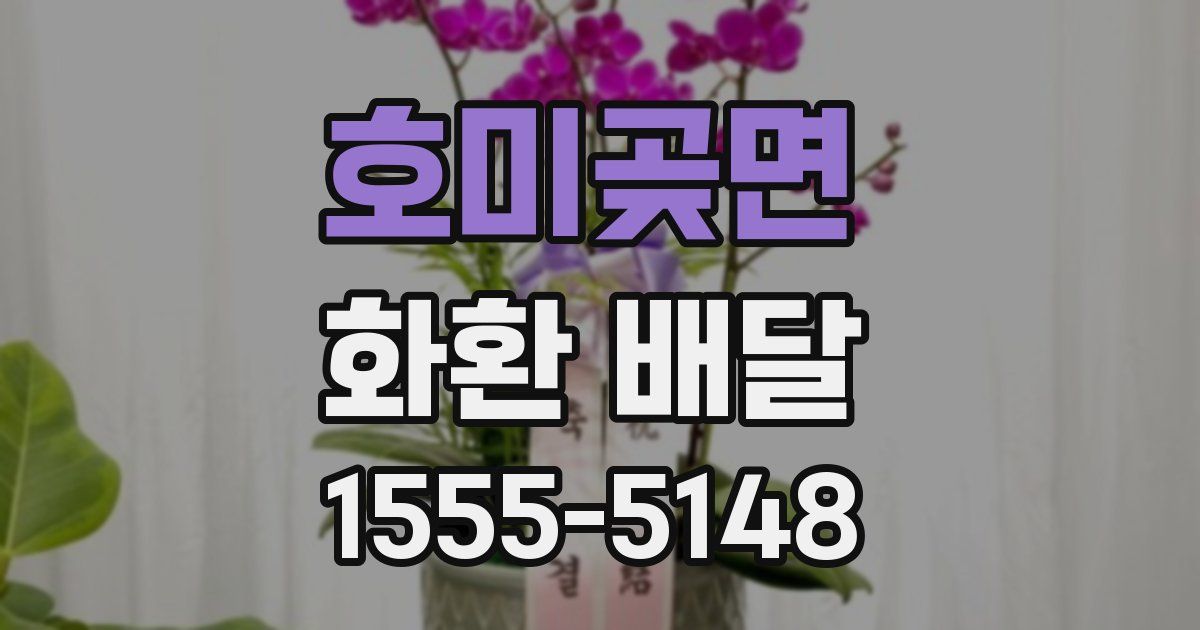 호미곶면 화환 배달