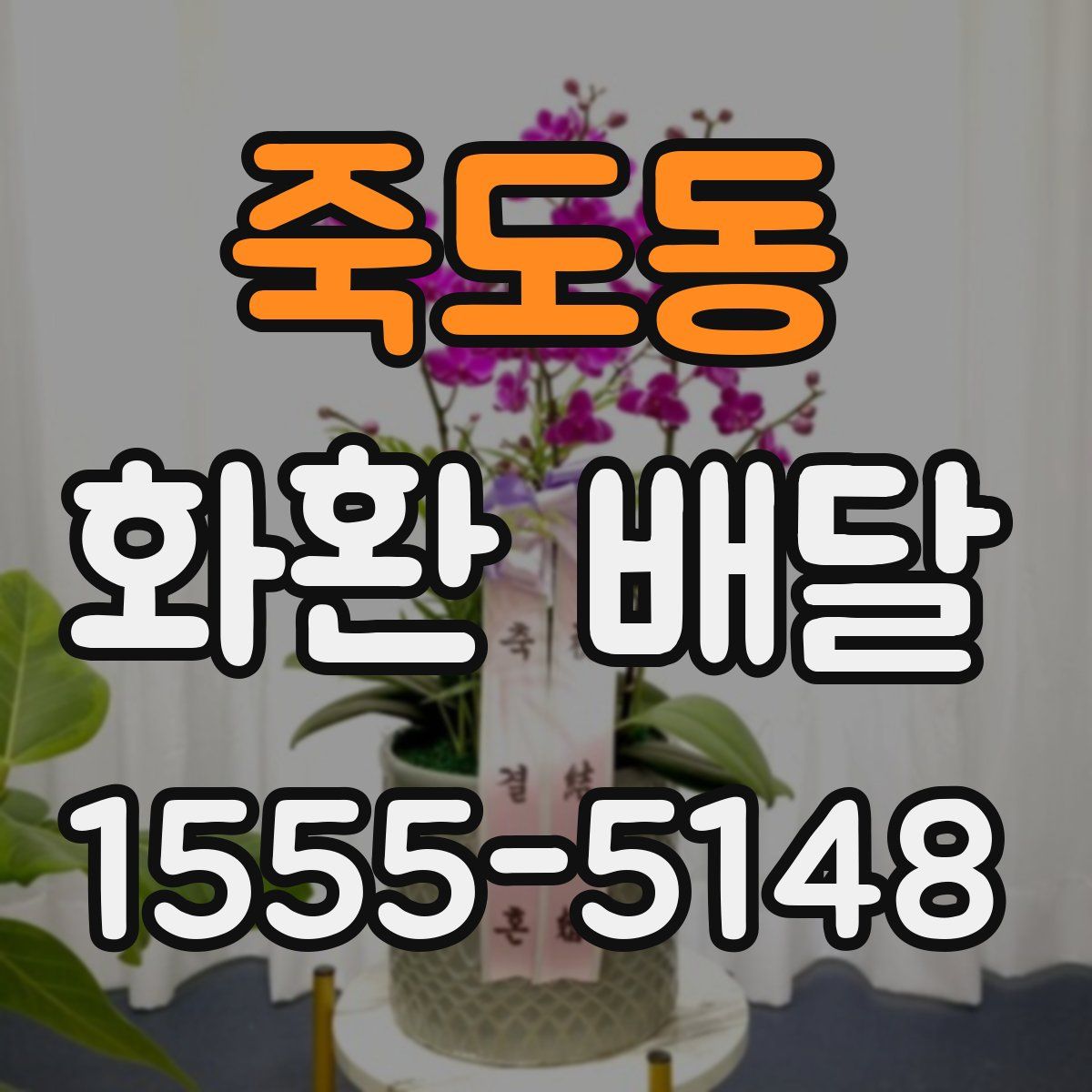 죽도동 화환 배달