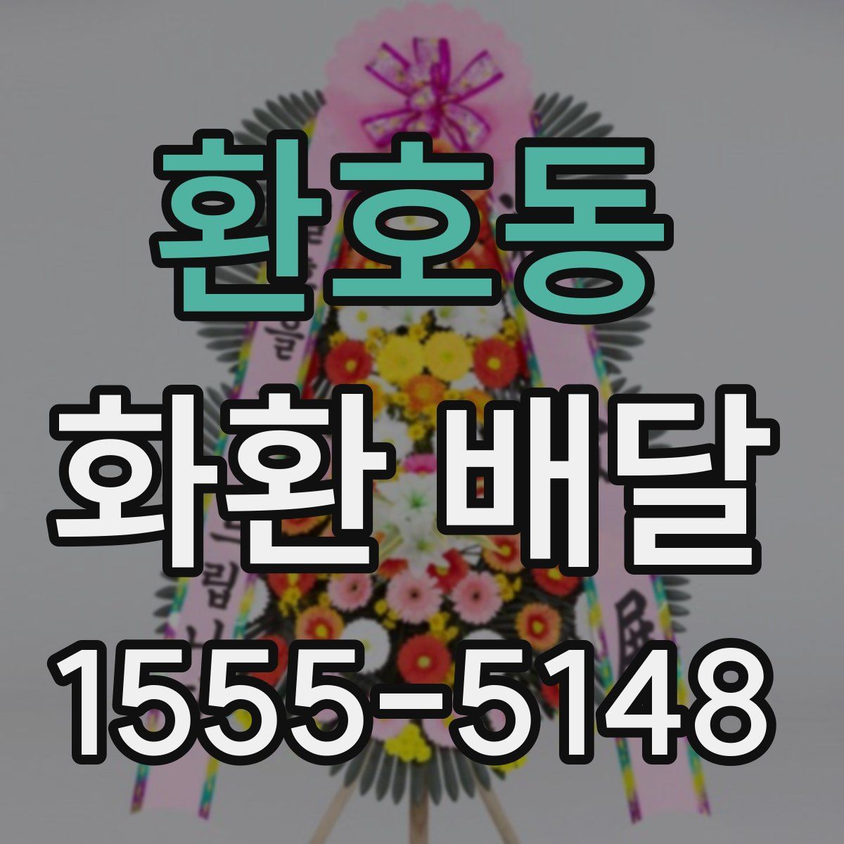 환호동 화환 배달