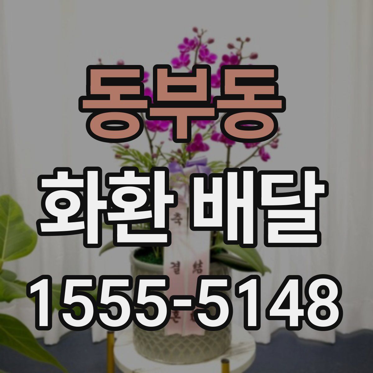 동부동 화환 배달