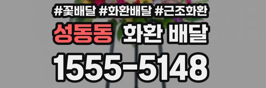 성동동 화환 배달