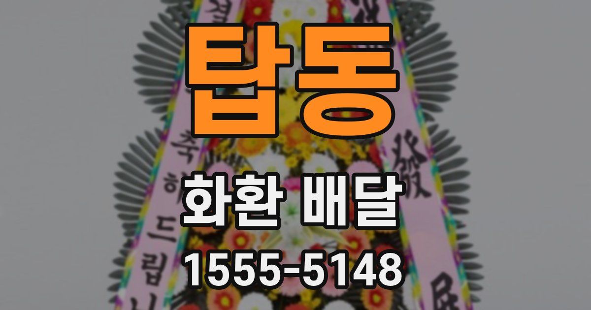 탑동 화환 배달
