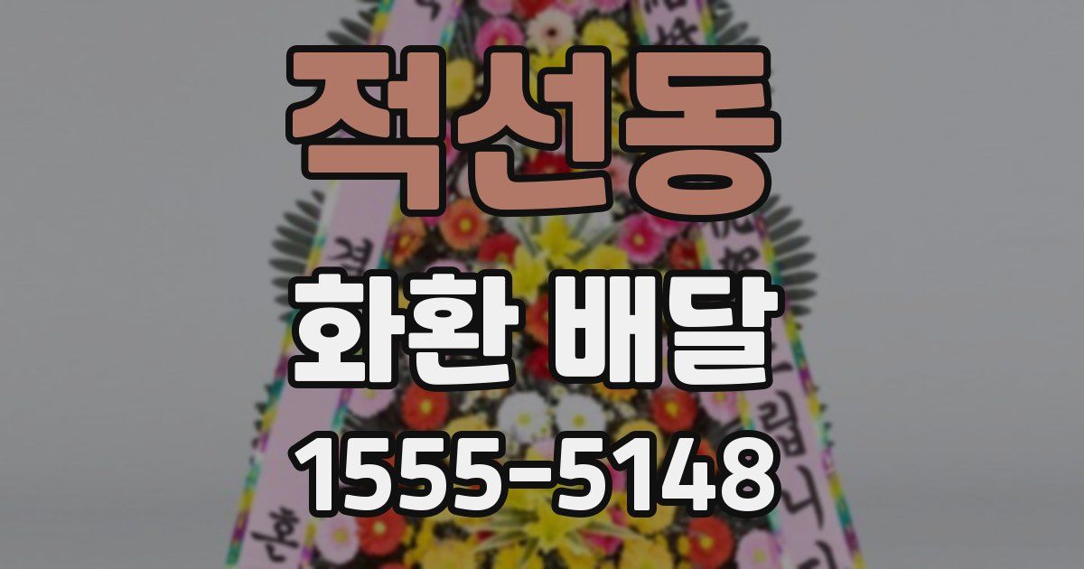 적선동 화환 배달