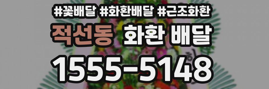 적선동 화환 배달