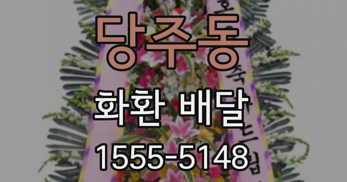 당주동 화환 배달