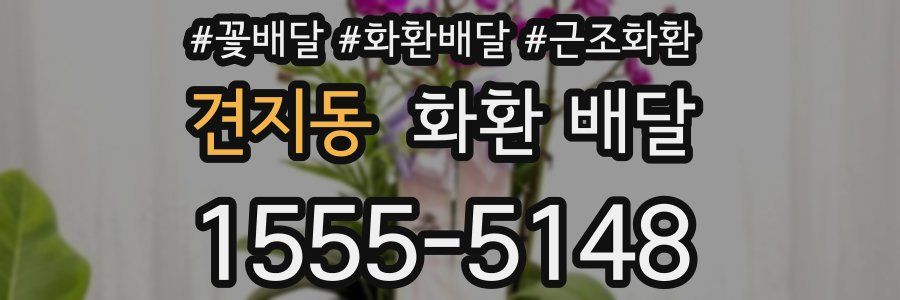 견지동 화환 배달