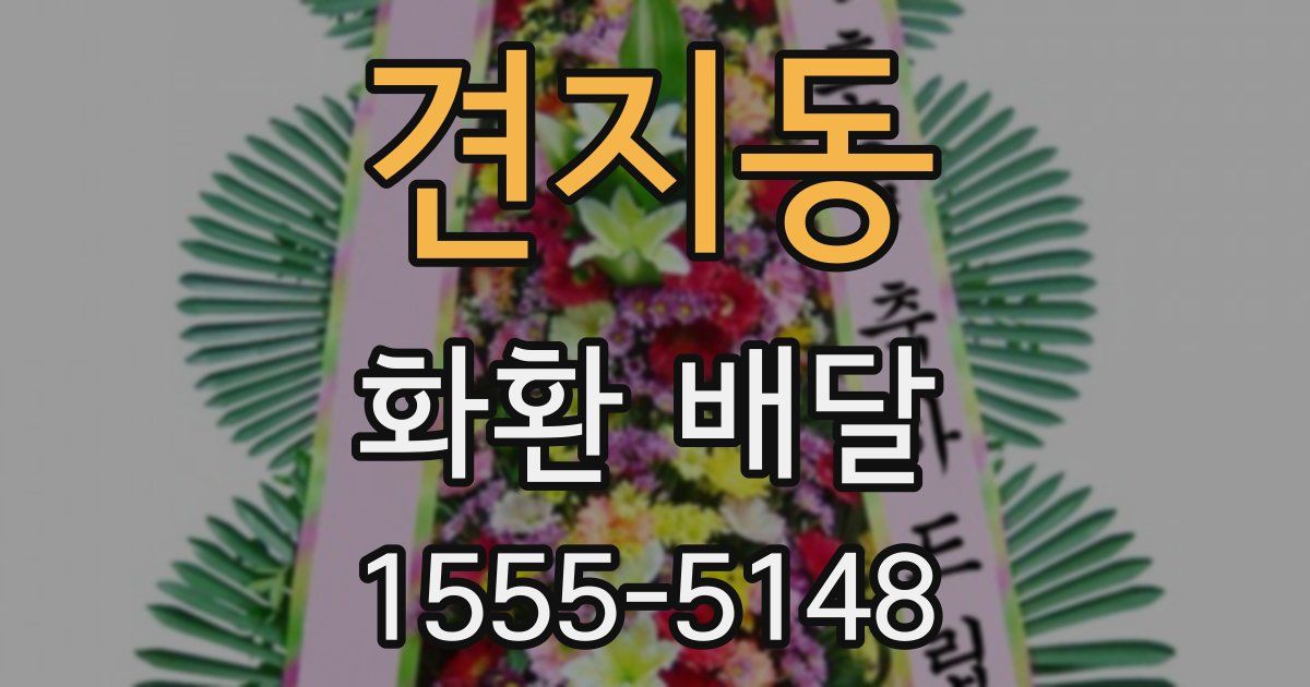 견지동 화환 배달