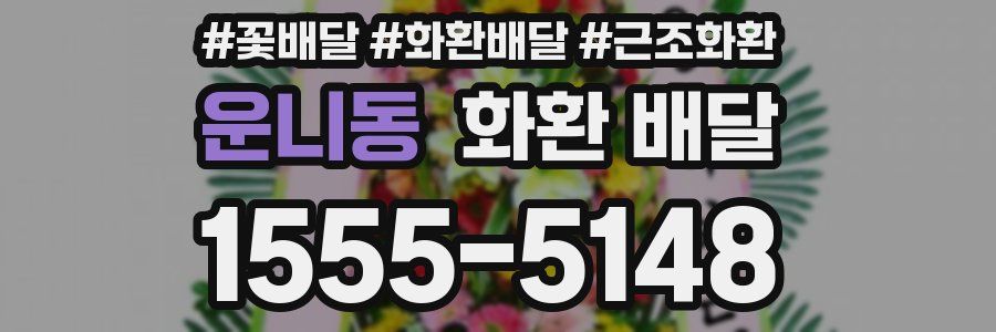 운니동 화환 배달