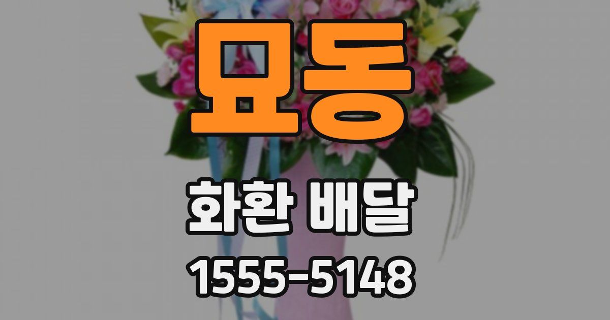 묘동 화환 배달