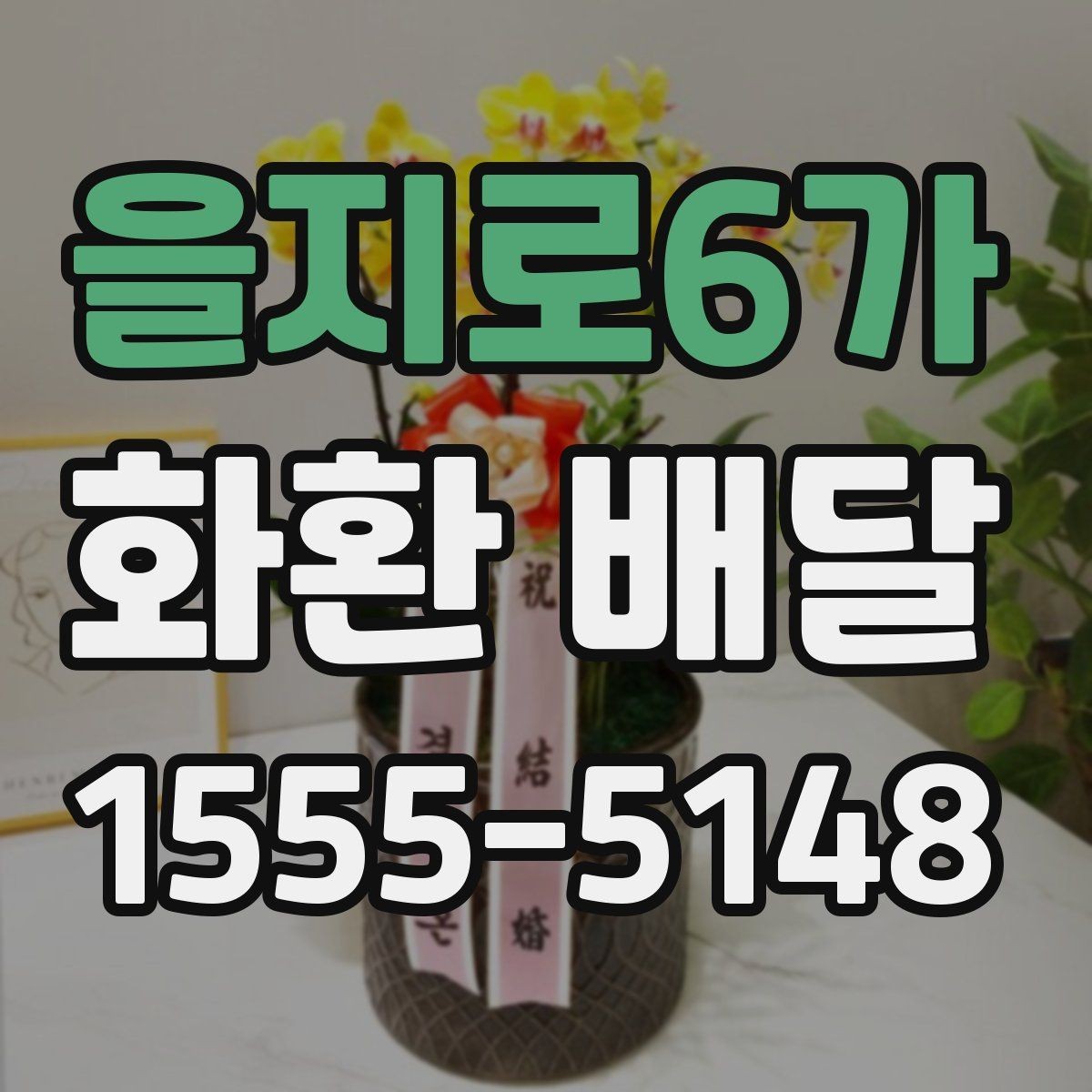 을지로6가 화환 배달 가능한 종류와 활용 상황