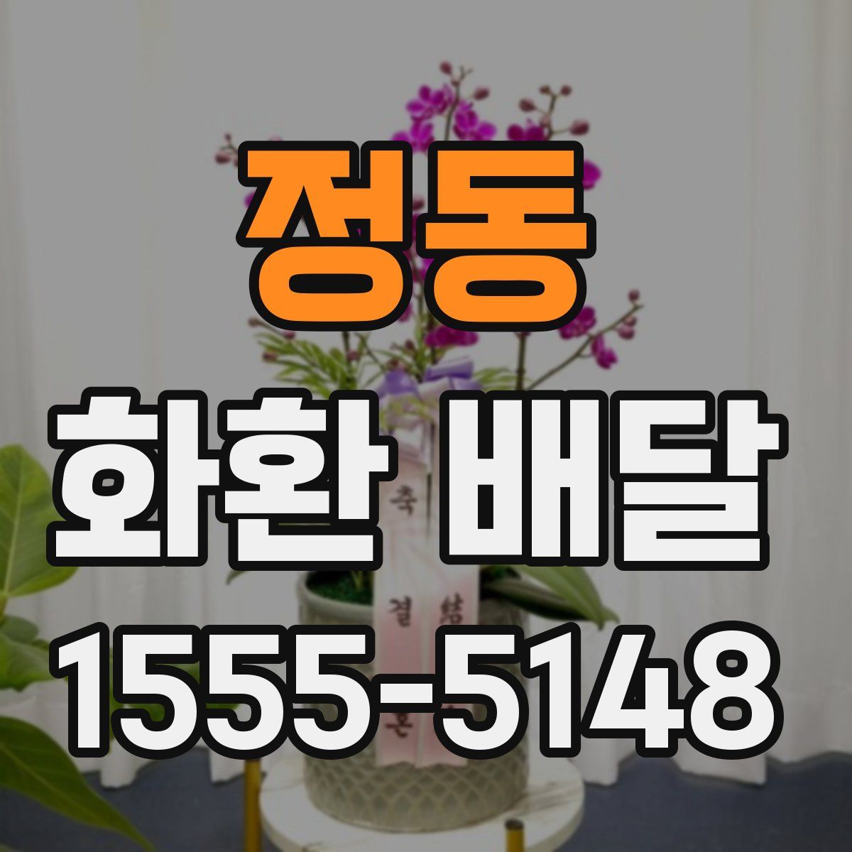 정동 화환 배달