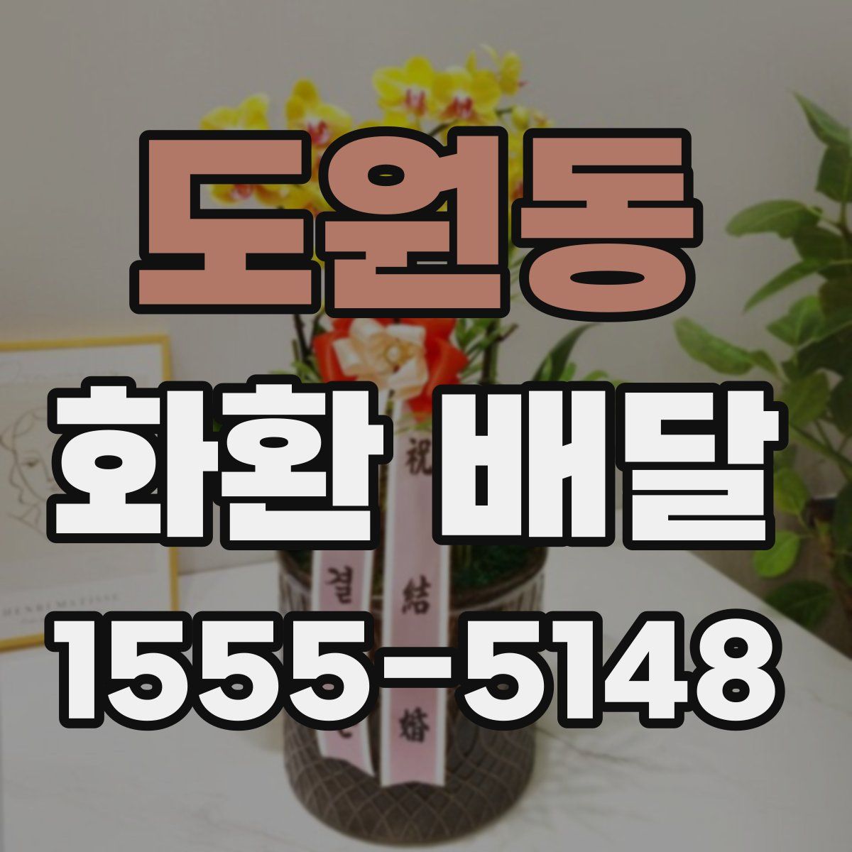 도원동 화환 배달