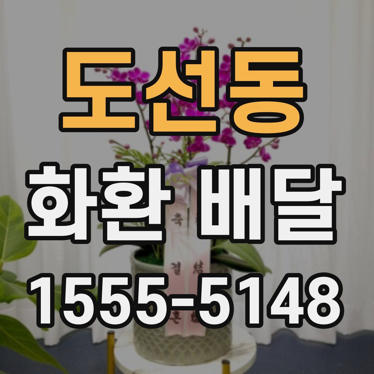 도선동 화환 배달