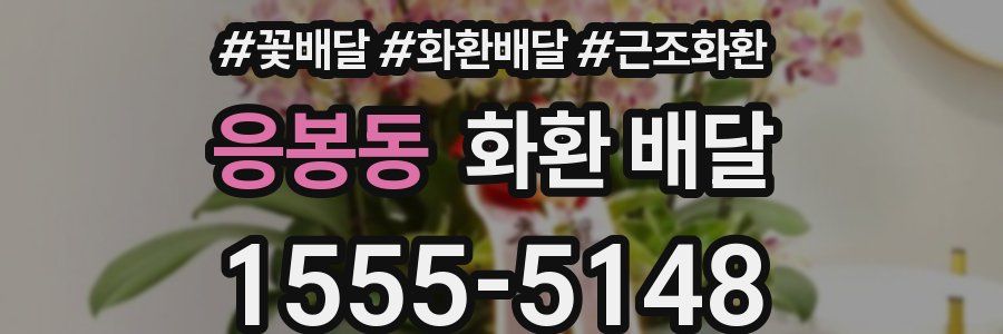 응봉동 화환 배달