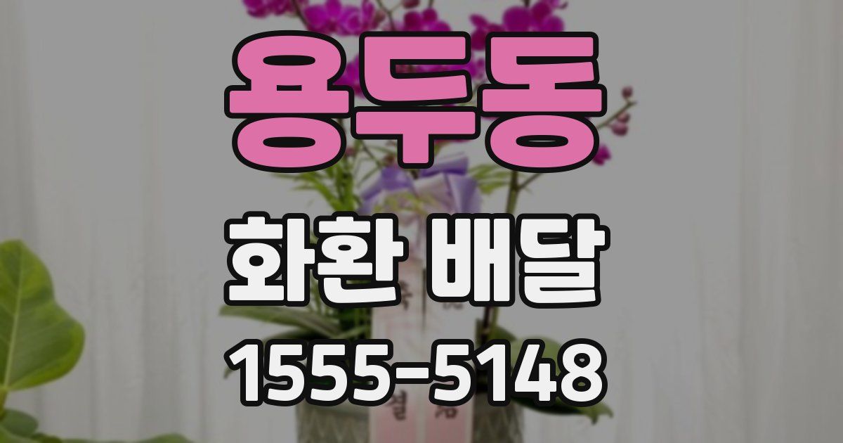 용두동 화환 배달