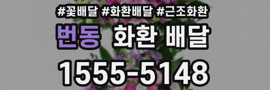 번동 화환 배달