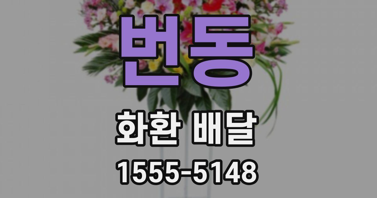 번동 화환 배달