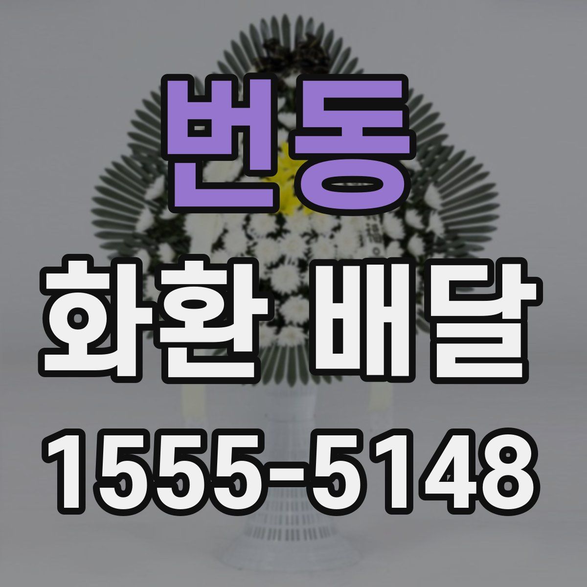번동 화환 배달