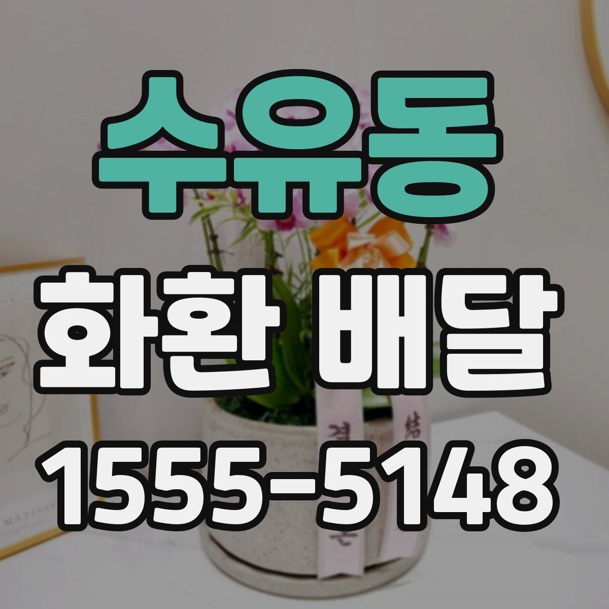 수유동 화환 배달