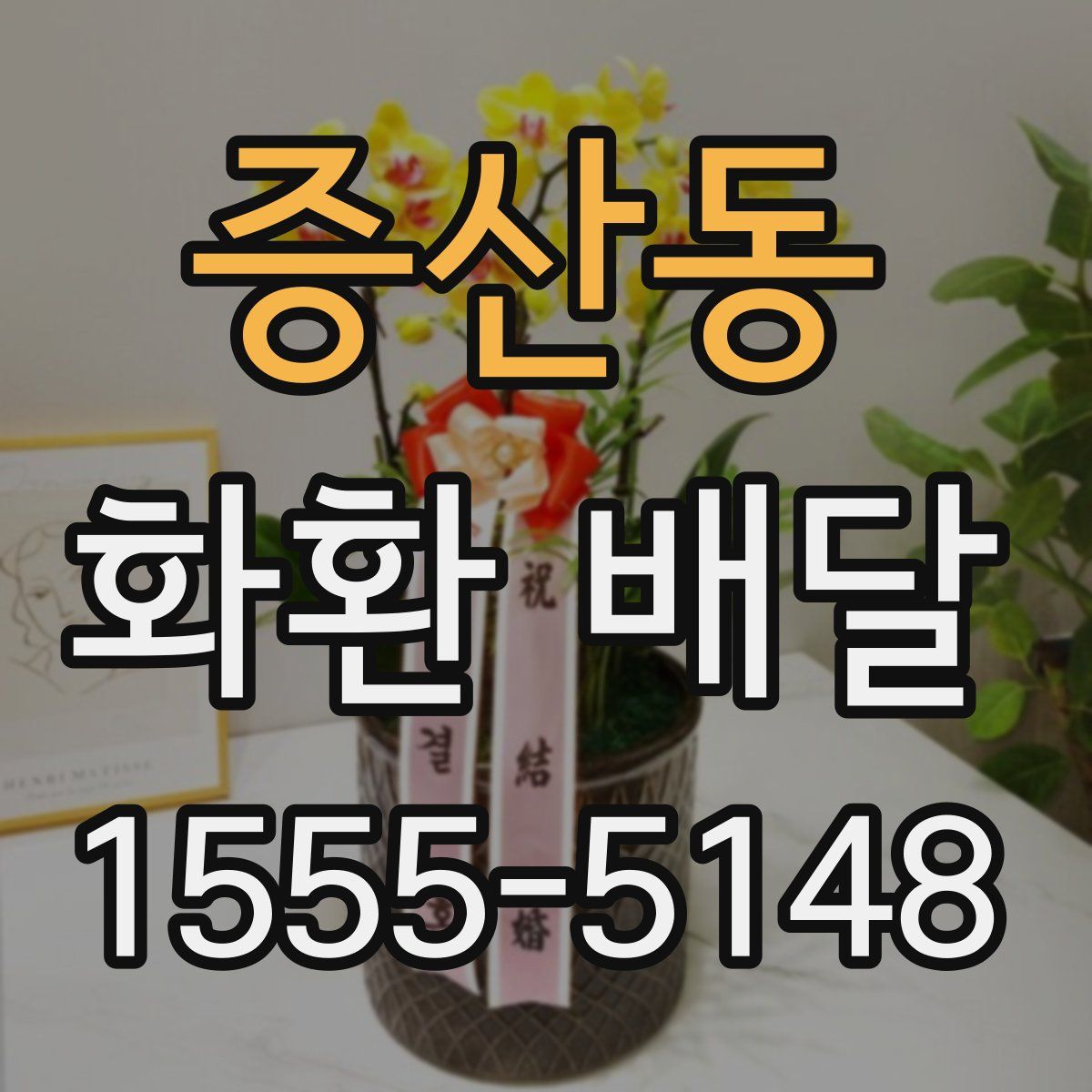 증산동 화환 배달