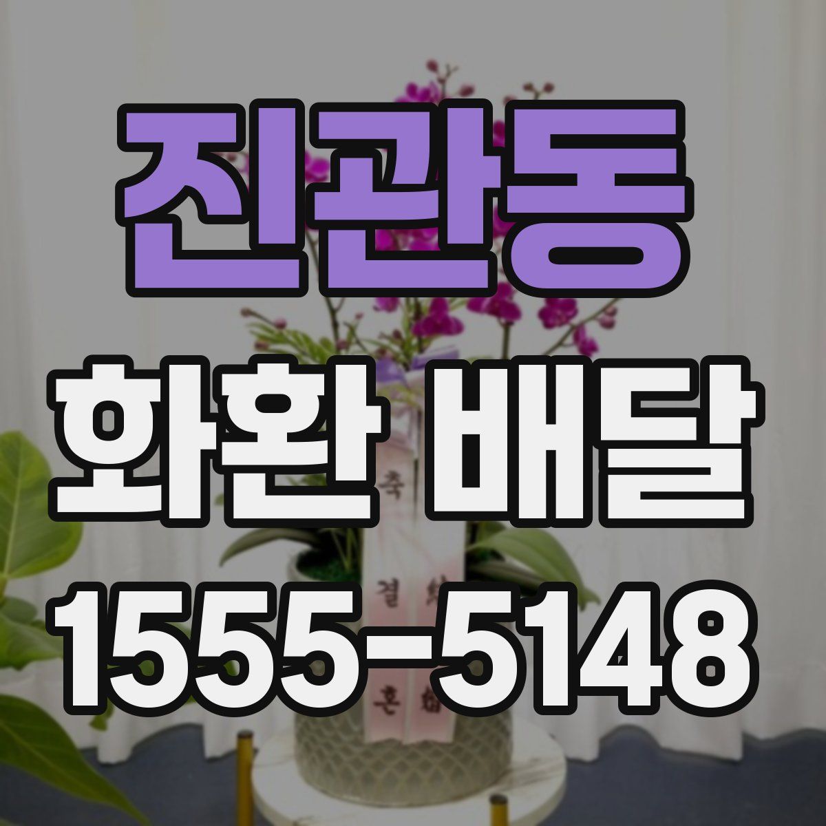진관동 화환 배달