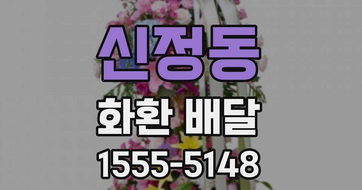 신정동 화환 배달