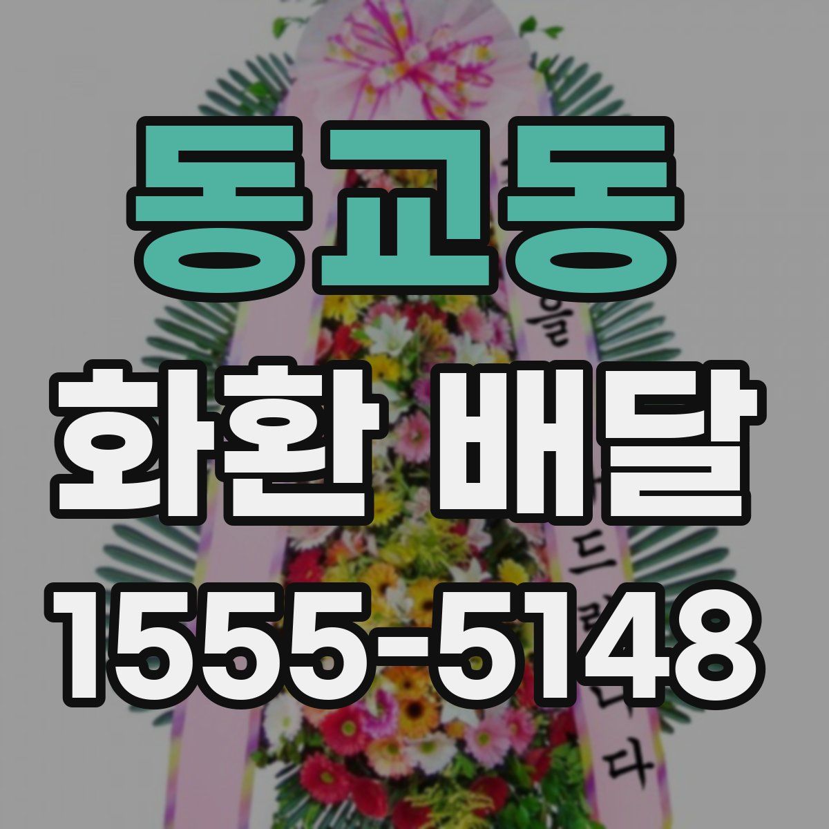동교동 화환 배달