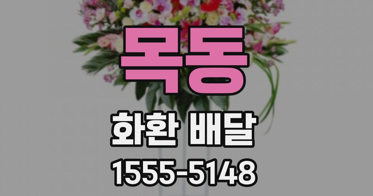 목동 화환 배달