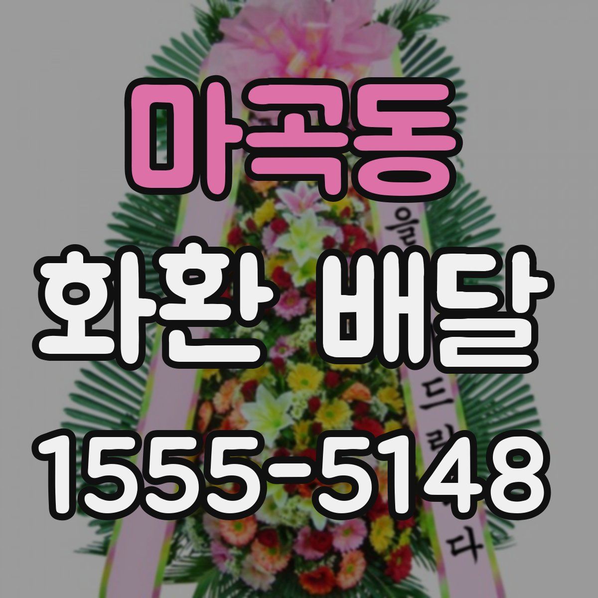 마곡동 화환 배달